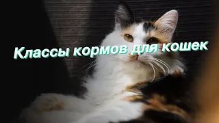 Классы кормов для кошек