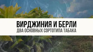 Берли и Вирджиния