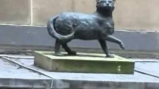 "Trim" : ship's cat that accompanied Matthew Flinders