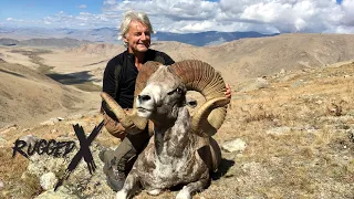 Altai Argali of Mongolia