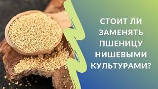 Стоит ли заменять пшеницу нишевыми культурами? Аналитик о рынке зерна