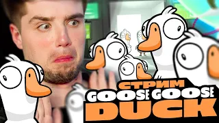 ОГРОМНЫЙ КООП В GOOSE GOOSE DUCK