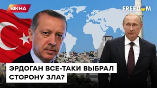 Турция играет В СВОИХ ИНТЕРЕСАХ: сможет ли Украина переманить Эрдогана на свою сторону