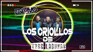 LOS CRIOLLOS DE TRES LAGUNAS EN VIVO (CHAMAME Y CUMBIAS)