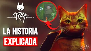 Stray La historia completa explicada en 1 video + final explicado