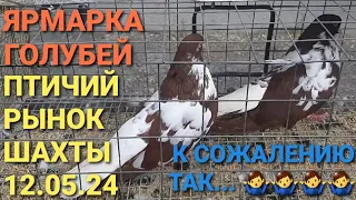 Ярмарка голубей в г.Шахты. Птичий рынок 12.05.24. К сожалению так...