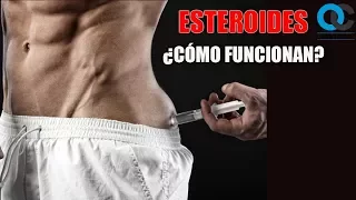 Esteroides ¿Cómo funcionan?