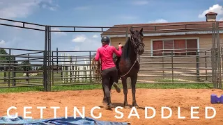 Eton Gets the Saddle | 2019 Mustang TIP Challenge