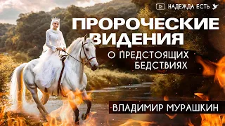 Пророческие видения о предстоящих бедствиях | Владимир Мурашкин