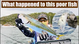 Something happened | Jigging for Kingfish | Kayak Fishing