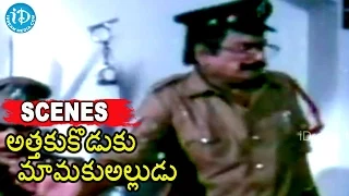 Attaku Koduku Mamaku Alludu Movie Scenes - Vinod Kumar, Ramireddy Action Scene