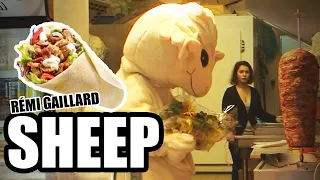 SHEEP (REMI GAILLARD)