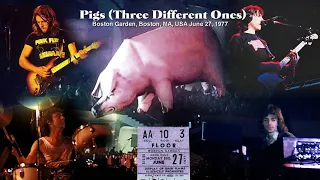 Pink Floyd - Pigs (Three Different Ones) 1977-06-27 - 24/96