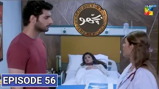 Bichoo Episode 56 Promo - Bichoo Episode 57 Review - Bichoo Episode 56  - Hum Tv