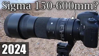 Watch this BEFORE you Buy the Sigma 150-600 Contemporary Lens in 2024 | Camera Reviews on the Beach