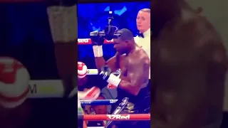 Tyson Fury v Whyte knockout perfect punch