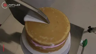 Cake-o-matic (COM 1000i) Cake Icing and Decorating Machine