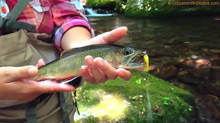 Fly Fishing the Little East Fork Pigeon River, North Carolina