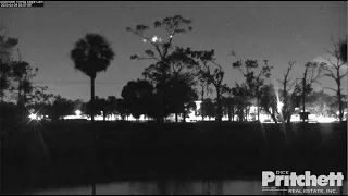 SWFL Eagles ~ E21 Chases An Owl To The West Pasture! 😲 No Owl Strike! 4.29.23