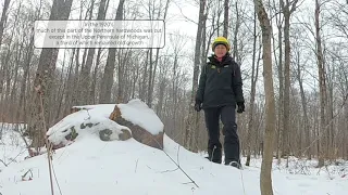 Uneven-age Silviculture in Northern Hardwoods - A Study Tour of Dukes Experimental Forest