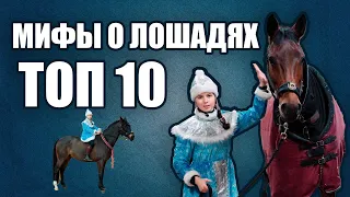 Мифы о лошадях. Топ 10. Новогодний выпуск. Язык лошадей.