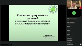 Коллекция суккулентных растений в Институте физиологии растений им  Тимирязева РАН в Москве