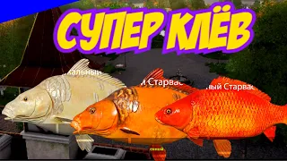 КАРП Супер Клёв ► СУПЕР ФАРМ ► РУССКАЯ РЫБАЛКА 4 ► ЯНТАРНОЕ 🔴 Russian Fishing 4 🔴 РР4 RF4 ► 俄罗斯钓鱼 4