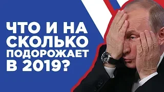 Что подорожает в 2019? Инфляция в России, рост цен и прогноз на 2019