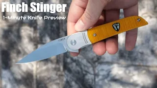 Finch Knife Stinger Folding Knife 1-Minute Preview | Atlantic Knife