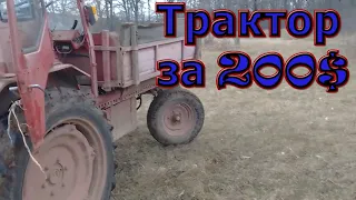 Купил трактор за 200$! Обзор!