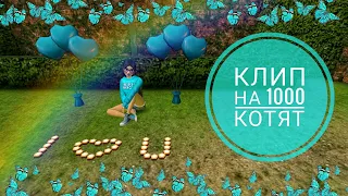 Клип на 1000 котят😍😘😚 |AvakinLife| •Нимфоманка(Монеточка)•