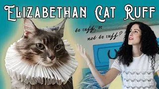 How to Make an Elizabethan Ruff (for your Cat!) | Easy Jacobean—Tudor—Shakespearian Ruff for Pets