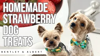 Keep Your Dog Cool with Homemade Strawberry Treats: A Step by Step Guide