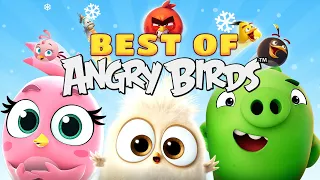 Best Of Angry Birds | Chapter 5