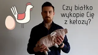 Czy nadmiar białka wyrzuci Cię z ketozy?