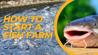 How to start Fish Farming - Aquaculture Tips and Tricks