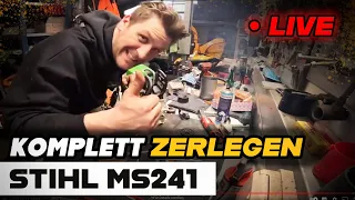 STIHL MS241 komplett zerlegen