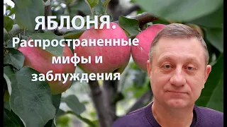 Яблоня. Мифы и заблуждения.