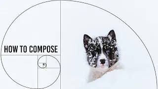 Improve your photography composition easily...