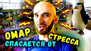 Как спасаться от стресса? Омар идёт в аквапарк