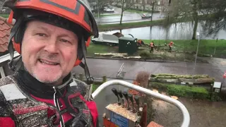 Bomen verwijderen met een telekraan, Tree Removal