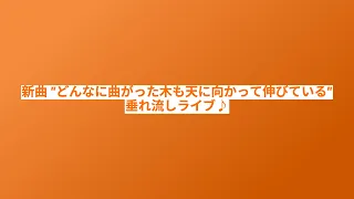 新曲 "どんなに曲がった木も天に向かって伸びている" 垂れ流しライブ♪