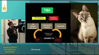 Coagulopathy: differential diagnosis Elie Azoulay    ISICEM 2023