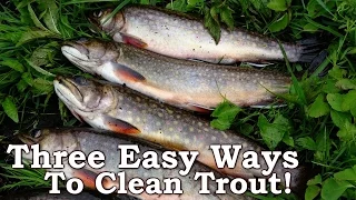 Three Ways To Clean Trout - How to Clean Trout [Easy Method!]