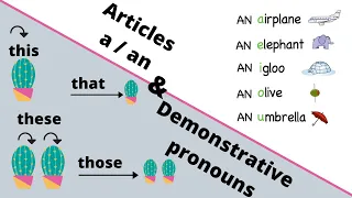 Clase 3: Articles a/an and Demonstrative pronouns this that these those + vocabulario