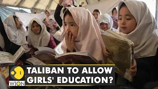 Taliban to announce framework to allow girls to attend school in Afghanistan | English News | WION