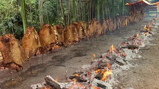 COSTELA FOGO DE CHÃO PARA MAIS DE MIL PESSOAS EM BARREIROS HERVAL DO OESTE