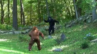 BIGFOOT vs DOGMAN