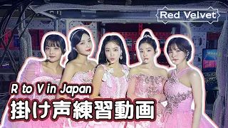 Red Velvet 掛け声練習動画 / R to V in Japan / 日本語