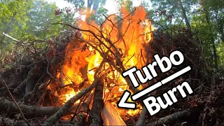 Burning and Cleaning up Felled Tree Top -  Fun Creek Adventure